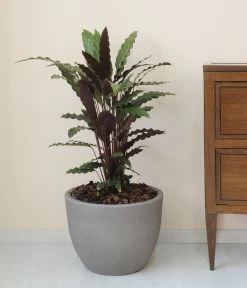 Farmet New Kunststoff-Topf Orione, Rund, Inkl. Untersetzer 8 Farmet New Kunststoff-Topf Orione, Rund, Inkl. Untersetzer -Pflanzenwelt Verkauf 6965305 WE MO 001 FarmetNewKunststoffTopfOrionerund