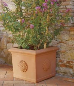 Farmet New Kunststoff-Topf Festonato, Quadratisch, Terrakotta, Inkl. Untersetzer 8 Farmet New Kunststoff-Topf Festonato, Quadratisch, Terrakotta, Inkl. Untersetzer -Pflanzenwelt Verkauf 6967699 WE MO 001 FarmetNewKunststoffTopfFestonatoquadratischterrakotta