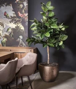 Fleur Ami Kunststoff-Vase Magnifico, Konisch, Bronze 7 Fleur Ami Kunststoff-Vase Magnifico, Konisch, Bronze -Pflanzenwelt Verkauf 6999536 WE MO 001 fleuramiKunststoffTopfMagnificorundbronze