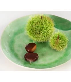 Esskastanie -Pflanzenwelt Verkauf 7091580 PR DE 002 CastaneaSativaEsskastanieDehnerExpressHerzig