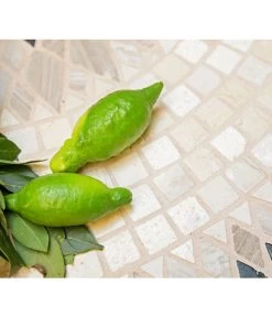 Dehner Gourmet Garten Fingerlimette 6 Dehner Gourmet Garten Fingerlimette -Pflanzenwelt Verkauf 7121304 WE MO 007 MicrocitrusGruen