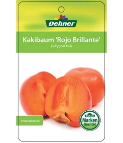 Dehner Kaki 'Rojo Brillante' - Kaki-Pflaume 'Rojo Brillante' 14 Dehner Kaki 'Rojo Brillante' - Kaki-Pflaume 'Rojo Brillante' -Pflanzenwelt Verkauf 7167414 KakiRojoBrillante Etikett 01
