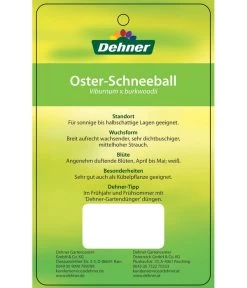 Wintergrüner Schneeball 'Burkwoodii' 9 Wintergrüner Schneeball 'Burkwoodii' -Pflanzenwelt Verkauf 7533391 OsterSchneeball Etikett 2