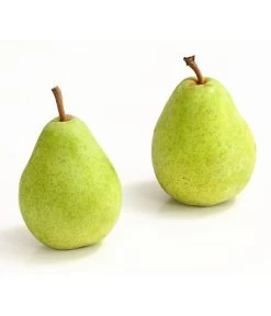 Winterbirne 'Alexander Lucas' 10 Winterbirne 'Alexander Lucas' -Pflanzenwelt Verkauf 7602709 WE DE 007 BirneAlexanderLucasDehnerExpressHerzig