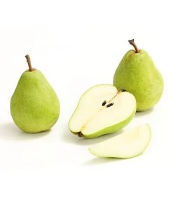 Winterbirne 'Alexander Lucas' 11 Winterbirne 'Alexander Lucas' -Pflanzenwelt Verkauf 7602709 WE DE 008 BirneAlexanderLucasDehnerExpressHerzig