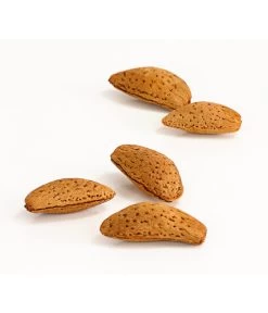 Mandelbaum 7 Mandelbaum -Pflanzenwelt Verkauf 7603889 WE DE 002 MandelPalatinaPrunusDulcisDehnerExpressHerzig