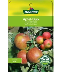 Apfel-Duo 'Jonagold'/'Elstar' 10 Apfel-Duo 'Jonagold'/'Elstar' -Pflanzenwelt Verkauf 7639248 Apfel DuoJonagoldElstar Etikett 1