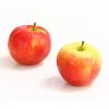 Herbstapfel 'Gerlinde' 2 Herbstapfel 'Gerlinde' -Pflanzenwelt Verkauf 7648413 WE DE 003 ApfelGerlindeDehnerExpressHerzig