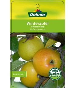 Winterapfel 'Goldparmäne' 12 Winterapfel 'Goldparmäne' -Pflanzenwelt Verkauf 7654999 WinterapfelGoldparmaere Etikett 1