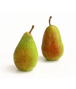 Sommerbirne 'Gute Luise' 10 Sommerbirne 'Gute Luise' -Pflanzenwelt Verkauf 7658578 WE DE 005 BirneGuteLuiseDehnerExpressHerzig