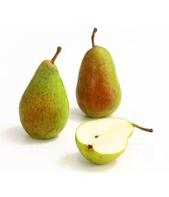 Sommerbirne 'Gute Luise' 13 Sommerbirne 'Gute Luise' -Pflanzenwelt Verkauf 7658578 WE DE 006 BirneGuteLuiseDehnerExpressHerzig