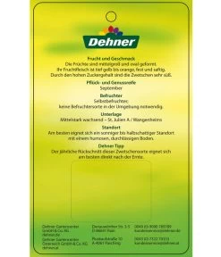 Zwetschge 'Haroma' 11 Zwetschge 'Haroma' -Pflanzenwelt Verkauf 7662703 ZwetscheHaroma Etikett 2