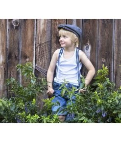 4-Monats-Heidelbeere 'Lucky Berry®' 8 4-Monats-Heidelbeere 'Lucky Berry®' -Pflanzenwelt Verkauf 7665847 PR MO 002 VacciniumHeidelbeereLuckyberryAG