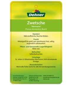 Zwetschge 'Hermann' 7 Zwetschge 'Hermann' -Pflanzenwelt Verkauf 7666688 ZwetschgeHermann Etikett 2
