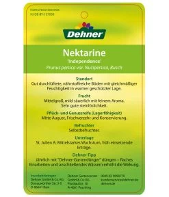 Dehner Nektarine 'Independence' -Pflanzenwelt Verkauf 7687304 NektarineIndependence Etikett 2