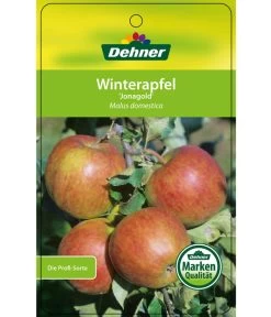 Winterapfel 'Jonagold' 12 Winterapfel 'Jonagold' -Pflanzenwelt Verkauf 7691645 WinterapfelJonagold Etikett 1