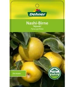 Nashi-Birne 'Nijiseiki' -Pflanzenwelt Verkauf 7719826 Nashi BirneNijiseiki Etikett 1