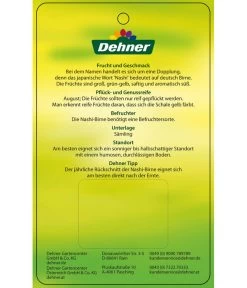 Nashi-Birne 'Nijiseiki' -Pflanzenwelt Verkauf 7719826 Nashi BirneNijiseiki Etikett 2