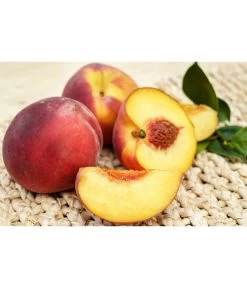 Gelbfleischiger Pfirsich 11 Gelbfleischiger Pfirsich -Pflanzenwelt Verkauf 7728843 PR FS 001 GelbfleischigerPfirsichPixabay