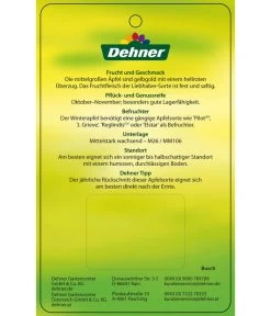 Winterapfel 'Pinova' 15 Winterapfel 'Pinova' -Pflanzenwelt Verkauf 7729361 WinterapfelPinova Etikett 2