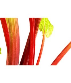 Dehner Gourmet Garten Himbeer-Rhabarber 8 Dehner Gourmet Garten Himbeer-Rhabarber -Pflanzenwelt Verkauf 7736028 PR DE 002 RhabarberHimbeere2LiterDehnerExpressHerzig