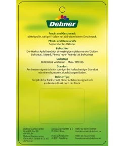Herbstapfel 'Rebella' 11 Herbstapfel 'Rebella' -Pflanzenwelt Verkauf 7737075 HerbstapfelRebella Etikett 2