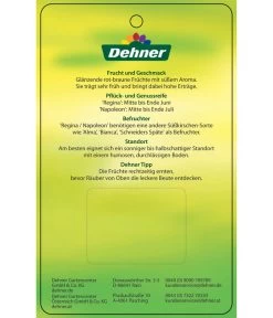 Kirschen-Duo 'Regina/Napoleon' 13 Kirschen-Duo 'Regina/Napoleon' -Pflanzenwelt Verkauf 7738792 Suesskirschen DuoReginaNapoleon Etikett 2