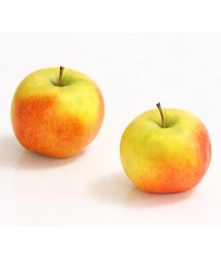 Säulenapfel 'Rondo' 6 Säulenapfel 'Rondo' -Pflanzenwelt Verkauf 7744873 WE DE 001 ApfelRondoDehnerExpressHerzig