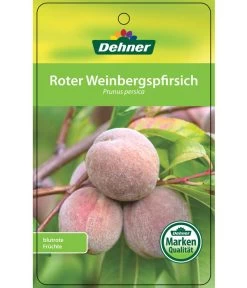 Dehner Pfirsich 'Roter Weinbergpfirsich' 8 Dehner Pfirsich 'Roter Weinbergpfirsich' -Pflanzenwelt Verkauf 7745607 RoterWeinbergpfirsich Etikett 1