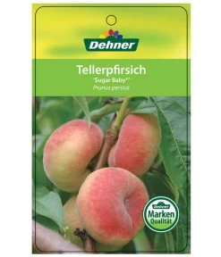 Tellerpfirsich 'Sugar Baby' 11 Tellerpfirsich 'Sugar Baby' -Pflanzenwelt Verkauf 7763352 TellerpfirsichSugarBaby Etikett 1