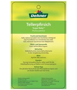 Tellerpfirsich 'Sugar Baby' 12 Tellerpfirsich 'Sugar Baby' -Pflanzenwelt Verkauf 7763352 TellerpfirsichSugarBaby Etikett 2