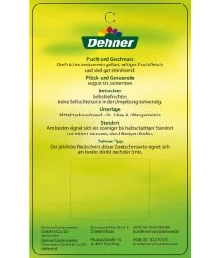 Zwetschge 'Kulinaria-Toptaste' 9 Zwetschge 'Kulinaria-Toptaste' -Pflanzenwelt Verkauf 7763881 ZwetscheKulinariaToptaste Etikett 2