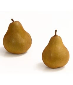 Winterbirne 'Uta' 7 Winterbirne 'Uta' -Pflanzenwelt Verkauf 7769854 WE DE 003 BirneUtaDehnerExpressHerzig