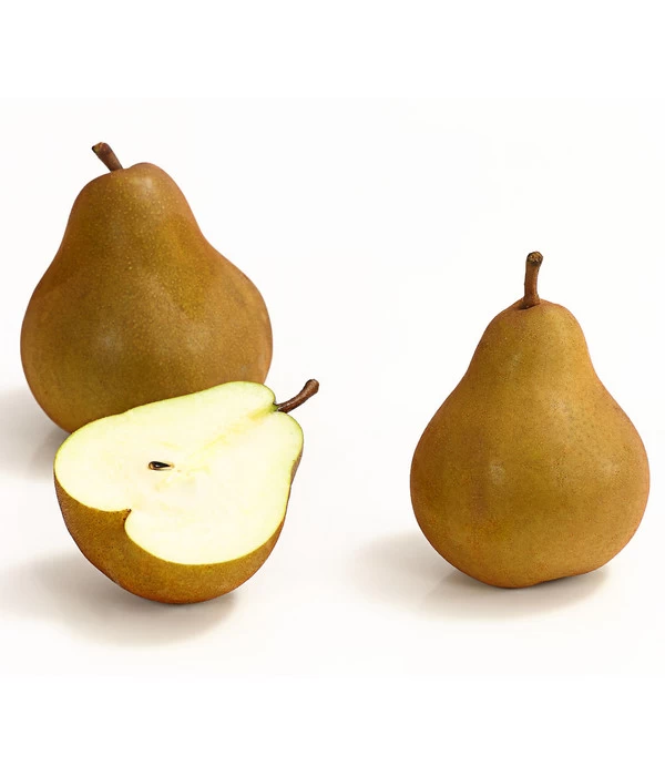 Winterbirne 'Uta' 3 Winterbirne 'Uta'