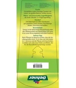 Tafeltraube 'Georg' 11 Tafeltraube 'Georg' -Pflanzenwelt Verkauf 7773575 TafeltraubeGeorg Etikett 2