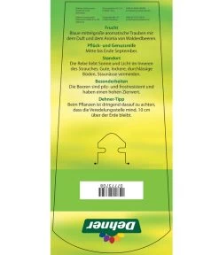 Tafeltraube 'Erdbeertraube' 9 Tafeltraube 'Erdbeertraube' -Pflanzenwelt Verkauf 7773708 TafeltraubeErdbeertraube Etkett 2