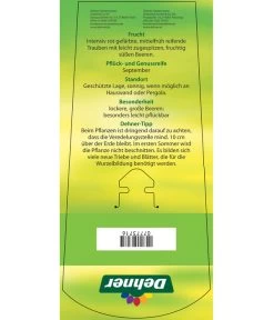 Tafeltraube 'Katharina' 10 Tafeltraube 'Katharina' -Pflanzenwelt Verkauf 7773716 TafeltraubeKatharina Etikett 2