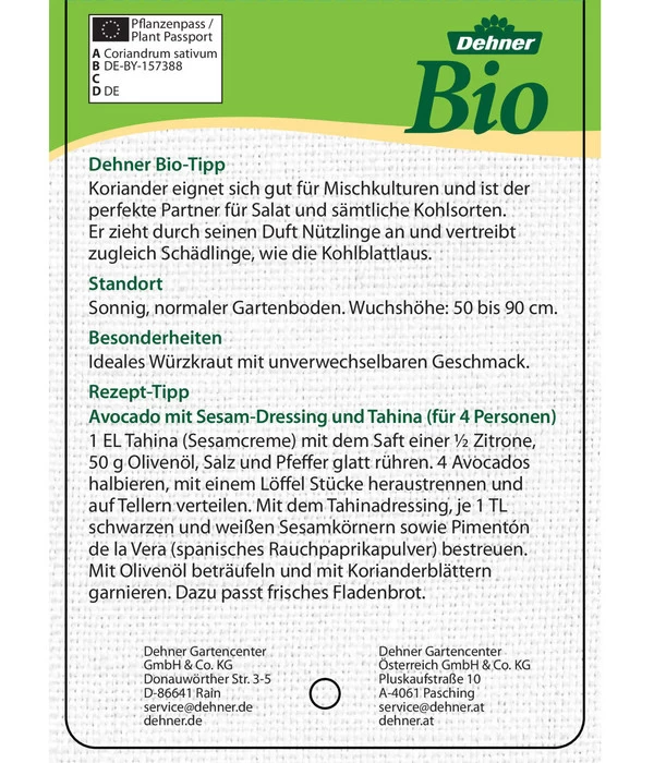 Bioland Koriander 5 Bioland Koriander – Bild 3