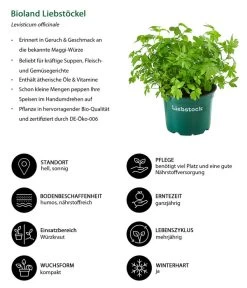 Bioland Liebstöckel 5 Bioland Liebstöckel -Pflanzenwelt Verkauf 8002008 WE IG 001 BiolandLiebstoeckel
