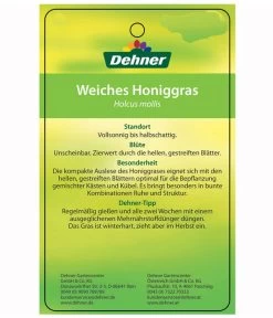 Weiches Honiggras 7 Weiches Honiggras -Pflanzenwelt Verkauf 8033276 HoniggrasEtikett2