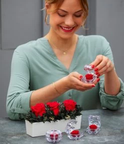 Longlife-Rose In Juwelenbox, Ca. Ø3,5 Cm -Pflanzenwelt Verkauf 8167041 WE MO 001 LonglifeArrangementElenRot