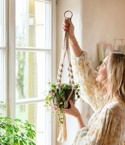 Dehner Makramee-Ampel 15 Dehner Makramee-Ampel -Pflanzenwelt Verkauf 8252173 WE MO 001 PeperomiePepperspotMakrameeAmpel