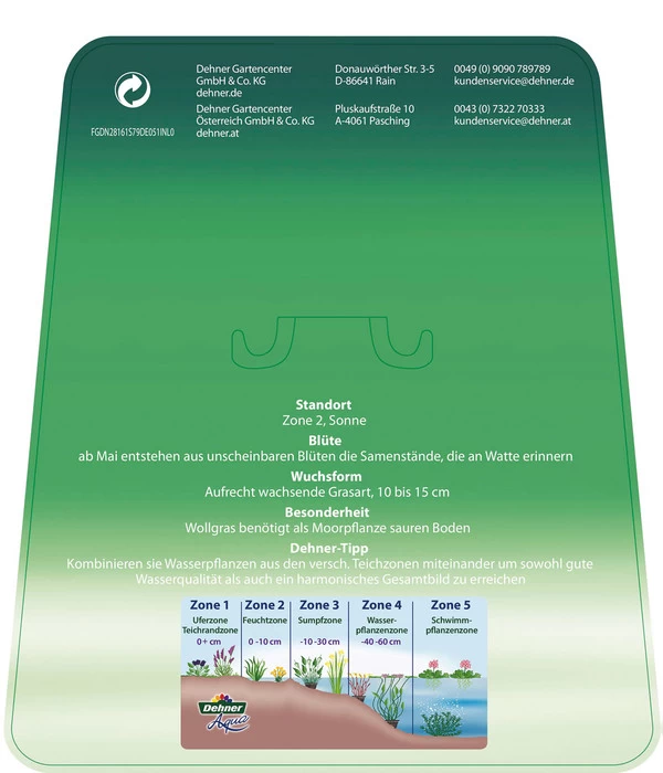 Schmalblättriges Wollgras 8 Schmalblättriges Wollgras – Bild 6