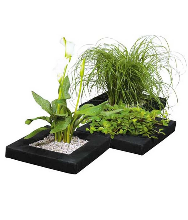 Dehner Treibring Für Wasserpflanzen 3 Dehner Treibring Für Wasserpflanzen