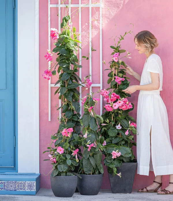 Kunststoff-Topf Padua, Rund 6 Kunststoff-Topf Padua, Rund – Bild 4