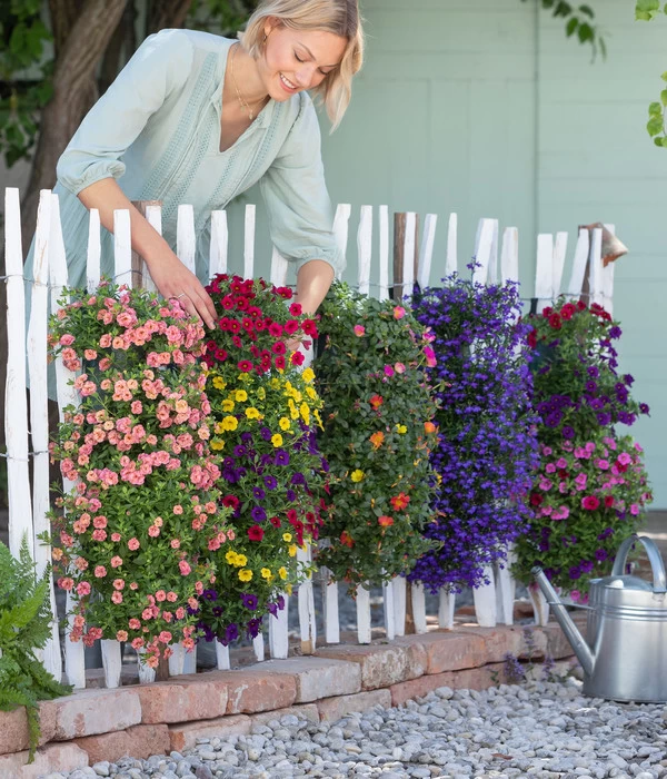 Wandhänger Mit Portulakröschen, Verschiedene Sorten 7 Wandhänger Mit Portulakröschen, Verschiedene Sorten – Bild 5