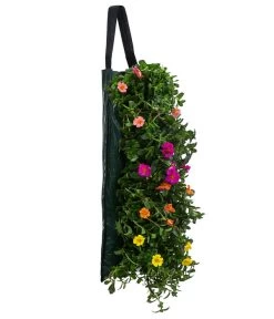 Wandhänger Mit Portulakröschen, Verschiedene Sorten 11 Wandhänger Mit Portulakröschen, Verschiedene Sorten -Pflanzenwelt Verkauf 8602997 WE FS 001 WandhaengerPortulakroeschenBunt