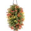 Wandhänger Mit Portulakröschen, Verschiedene Sorten 2 Wandhänger Mit Portulakröschen, Verschiedene Sorten -Pflanzenwelt Verkauf 8602997 WE FS 001 WandhaengerPortulakroeschenOrange