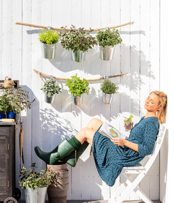 Pflanzenwelt Verkauf -Pflanzenwelt Verkauf 8610123 WE MO 001 Oregano Kraeuter 1