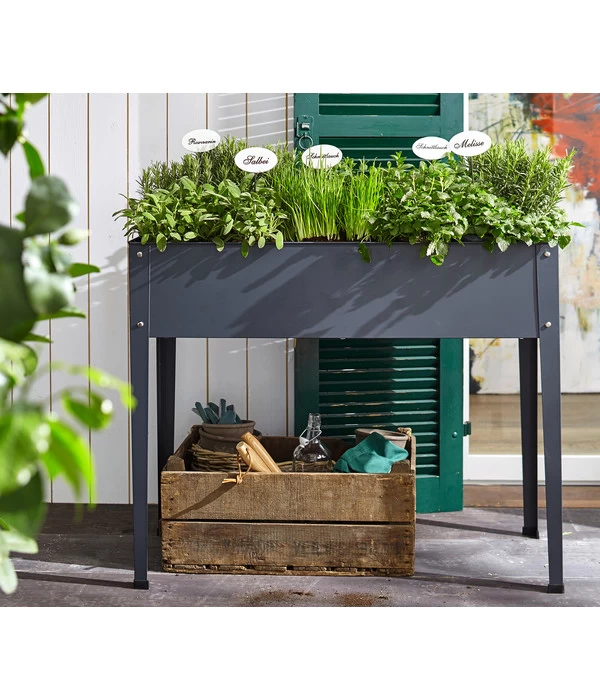 Dehner Gourmet Garten Oregano 4 Dehner Gourmet Garten Oregano – Bild 2